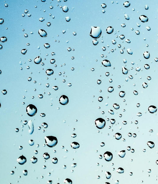 Pharmacy Essentials-4