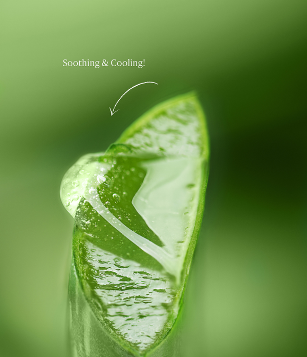 Aloe Vera Gel
