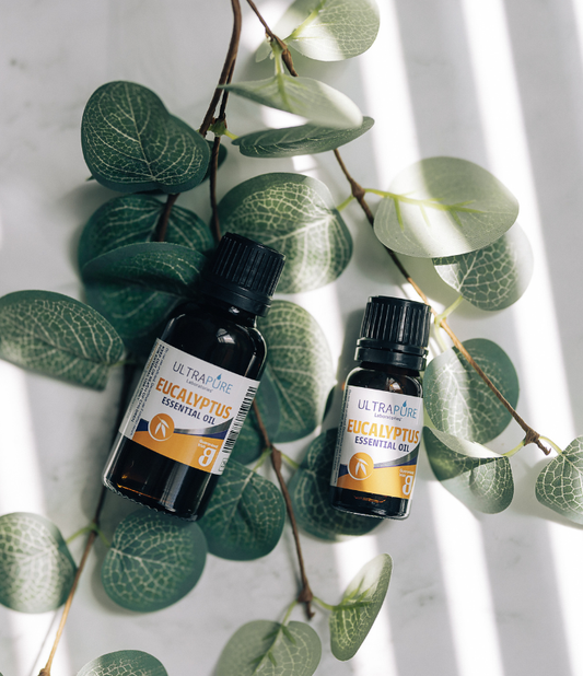 Eucalyptus Essential Oil